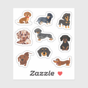 Stickers Dachshund