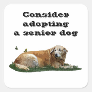 Stickers d'adoption de chiens de races mixtes du L