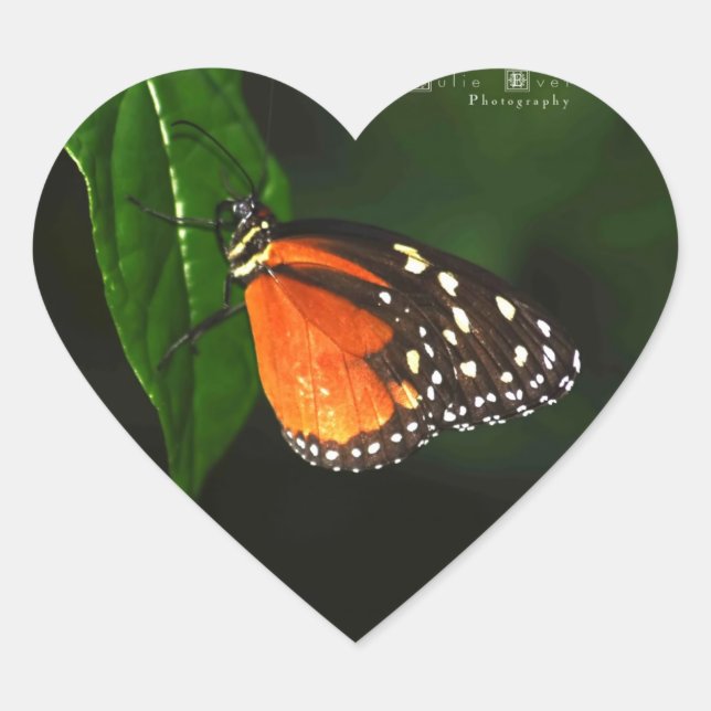 Stickers d'amour papillon (Devant)