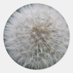 Stickers Dandelion