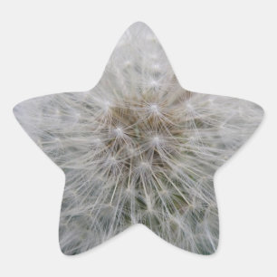 Stickers Dandelion
