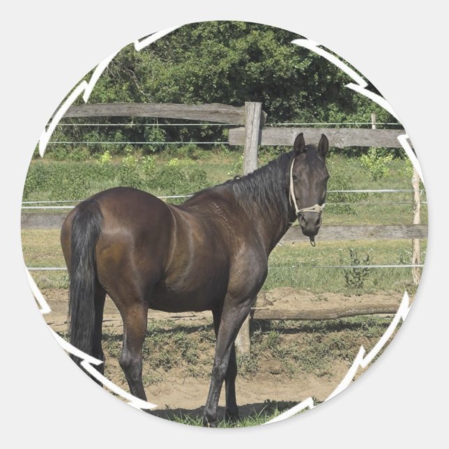 Stickers Dark Bay Thoroughbred (Devant)