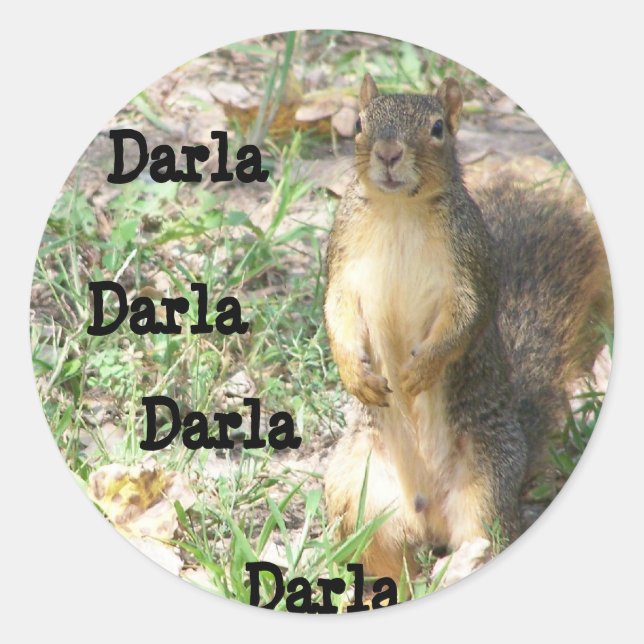 stickers Darla (Devant)