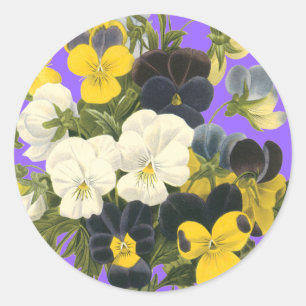 Stickers d'art botanique Pansy Violets