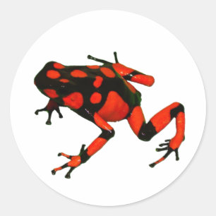 STICKERS DART FROG, STICKERS FROG