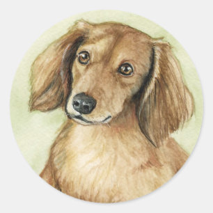 Stickers d'art pour chiens "Long Haired Dachshund"
