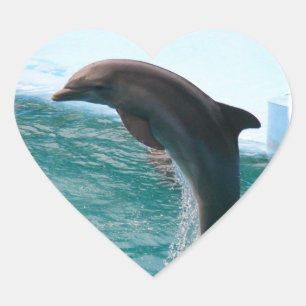 Stickers Dauphin