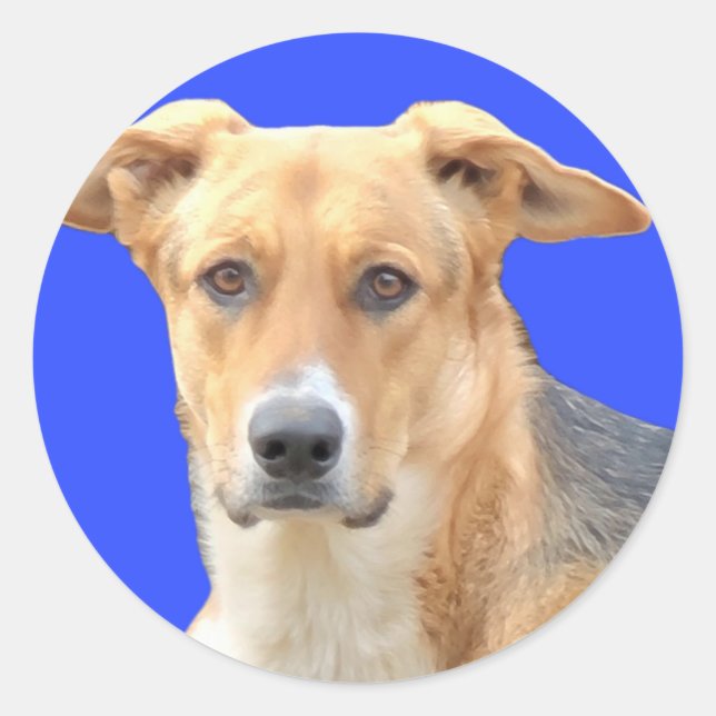 Stickers de chien (Devant)