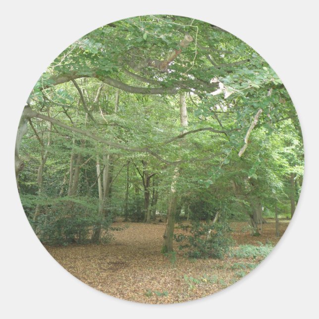Stickers de défrichage des bois (Devant)