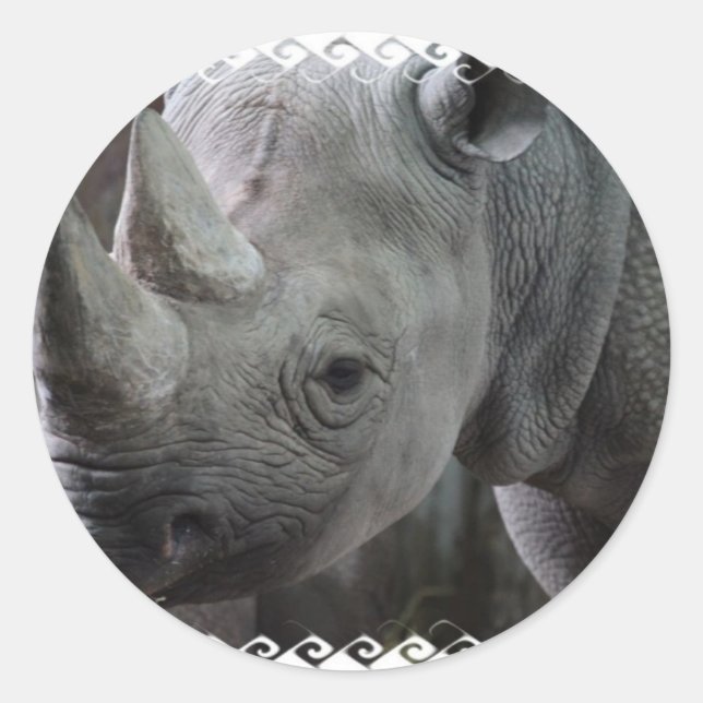 Stickers de faits Rhino (Devant)