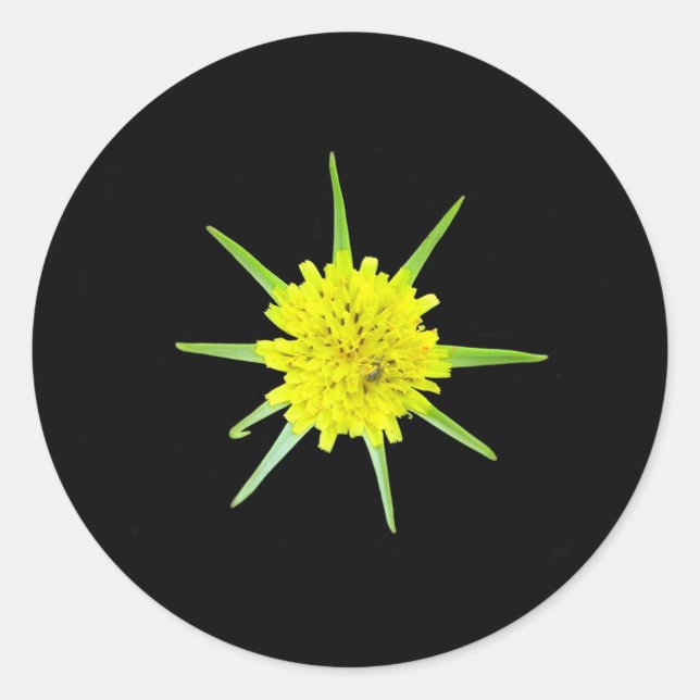 Stickers de fleurs sauvages de la barbe de chèvre (Devant)