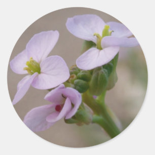 Stickers de fleurs violettes