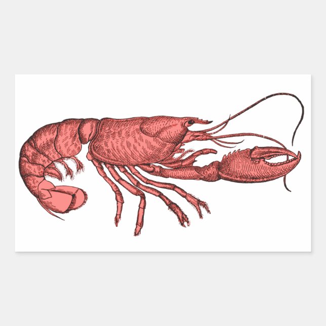 Stickers de homard rouge avec image rétro Vintage (Devant)