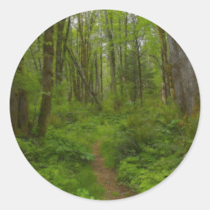 Stickers de la nature sur le sentier forestier