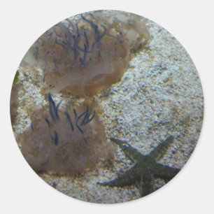 Stickers de méduses à l'envers