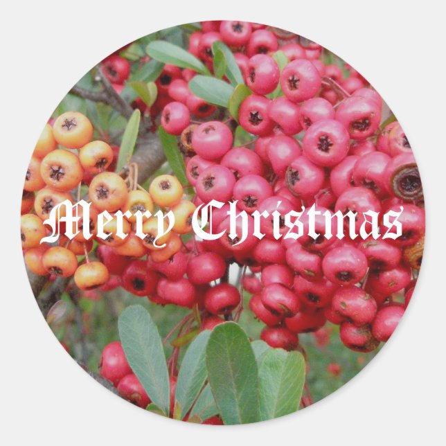 Stickers de Noël aux baies rouges (Devant)