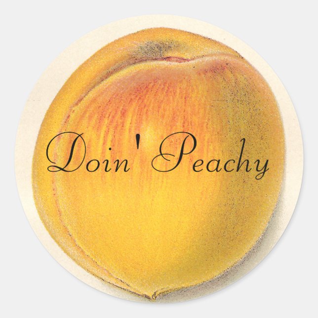 Stickers de pêche vintages (Devant)