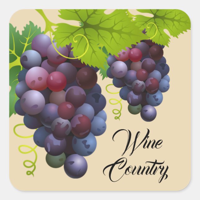 Stickers de raisins (Devant)