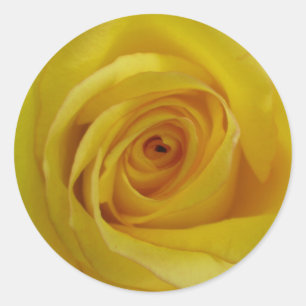 Stickers de rose jaune