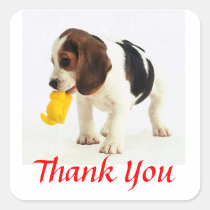 Stickers de salutation Merci Beagle Chien Chien Ch