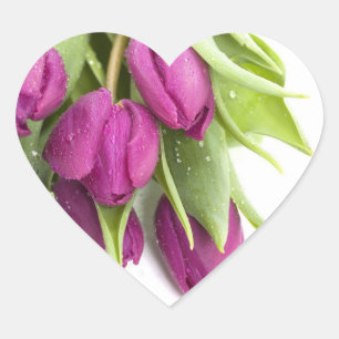 STICKERS DE VÊTEMENTS À TULIP PURPLE