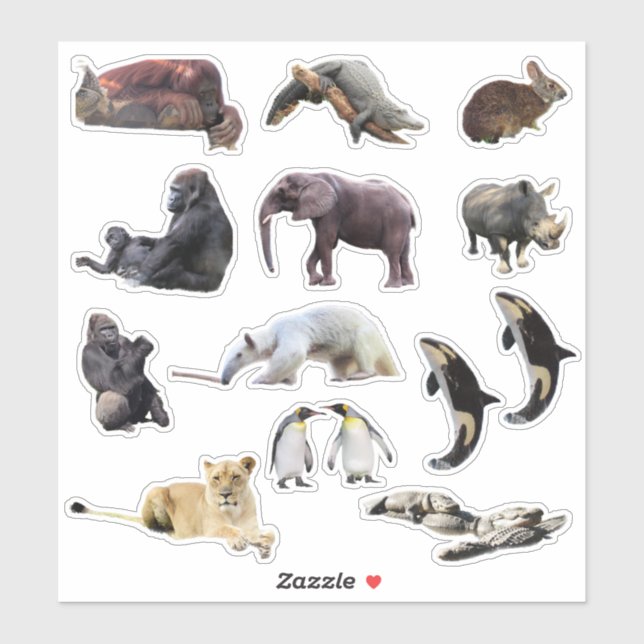 Stickers de vinyle coupé à la baise sauvage (Feuille)