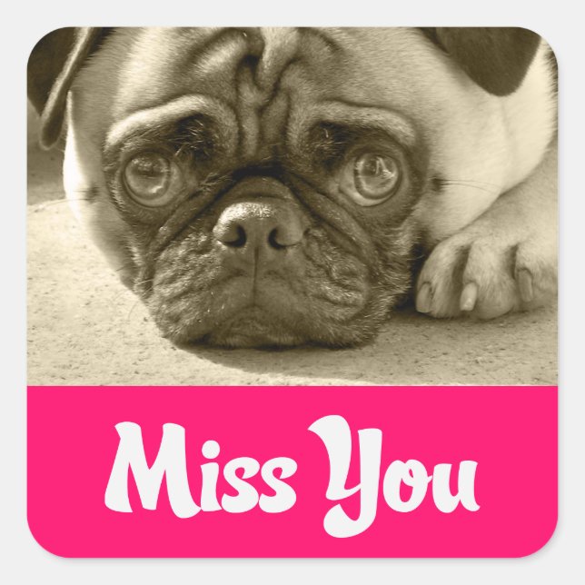Stickers de voeux pour chien chiot Carlin Miss You (Devant)