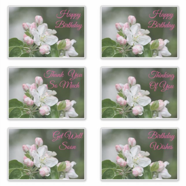 Stickers Décoratifs Pour Toutes Les Occasions (Devant)