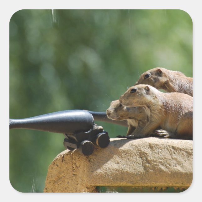 Stickers des soldats des chiens des Prairies (Devant)