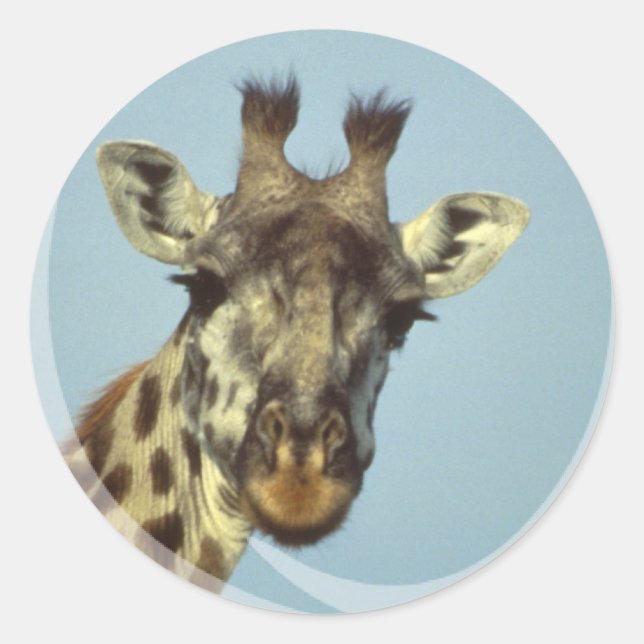 Stickers design Giraffe (Devant)