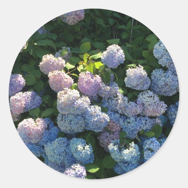 Stickers d'Hydrangea Enveloppe scellés avec fleurs (Devant)
