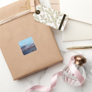 Stickers Disparus