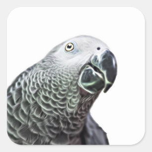 Stickers d'Oiseaux Gris Africain Parrot Lumineux