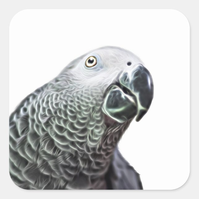 Stickers d'Oiseaux Gris Africain Parrot Lumineux (Devant)