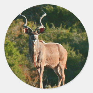stickers East Cape Kudu