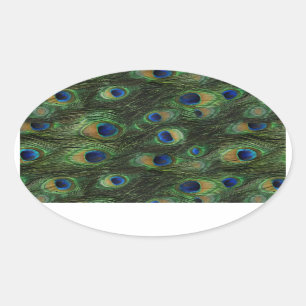 Stickers Emerald Green Royal Blue Peacock