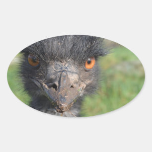 Stickers Emu Bird