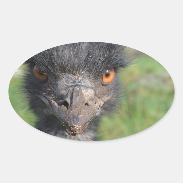 Stickers Emu Bird (Devant)