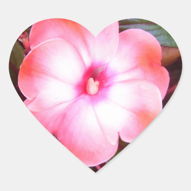 Stickers en fleurs roses (Devant)
