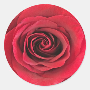 Stickers en forme ronde rose rouge