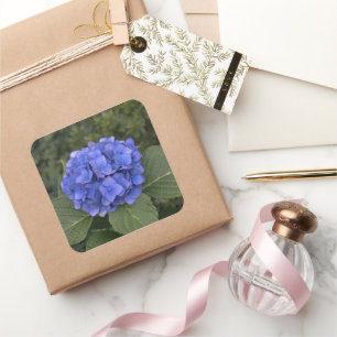 Stickers Enveloppe mariage Blue Hydrangea Flower