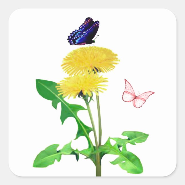 Stickers Enveloppe Papillons (Devant)