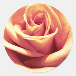 Stickers Enveloppe Peach-Orange