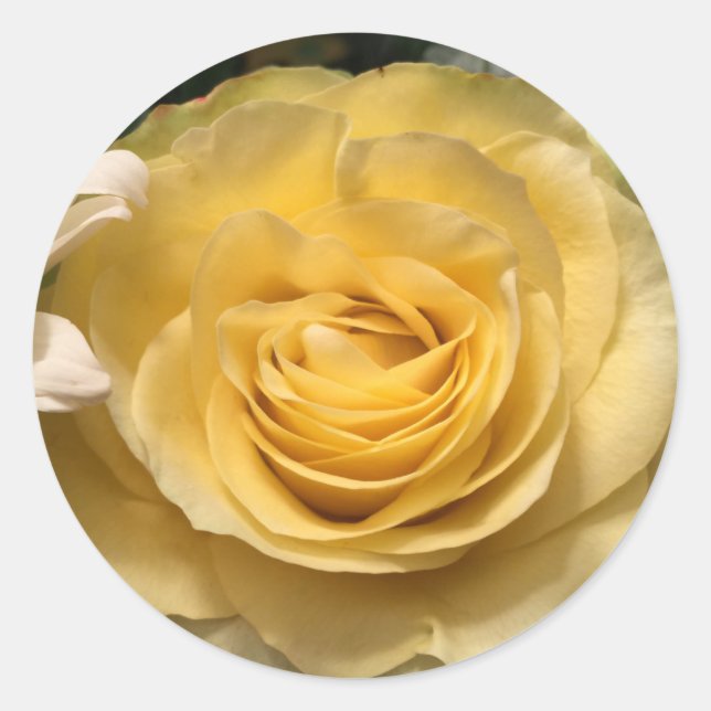 Stickers Enveloppe rose jaune (Devant)