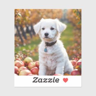 Stickers et Étiquettes