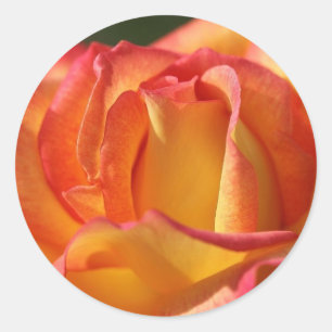 STICKERS ET PHOQUES DE MARIAGE ROSES PEACH (orange