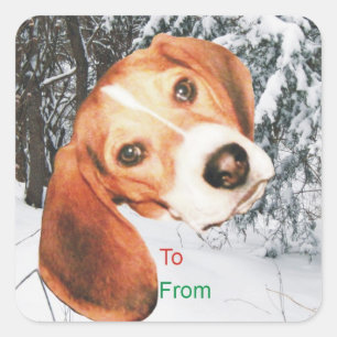 Stickers étiquette cadeau de Noël Snowy beagle
