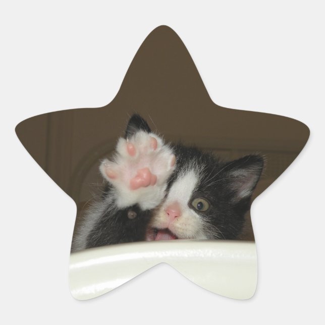 stickers étoile Hi kitten (Devant)