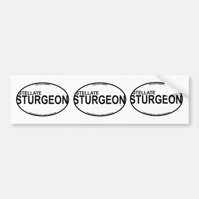 Stickers Euro Stellate/Starry Sturgeon (Devant)