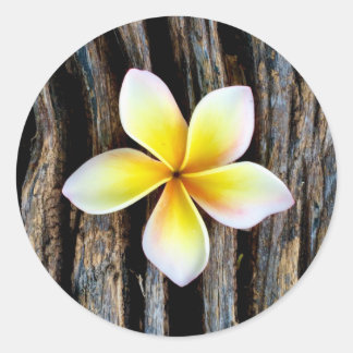 Stickers Faire-part de mariage Hawaii Plumeria